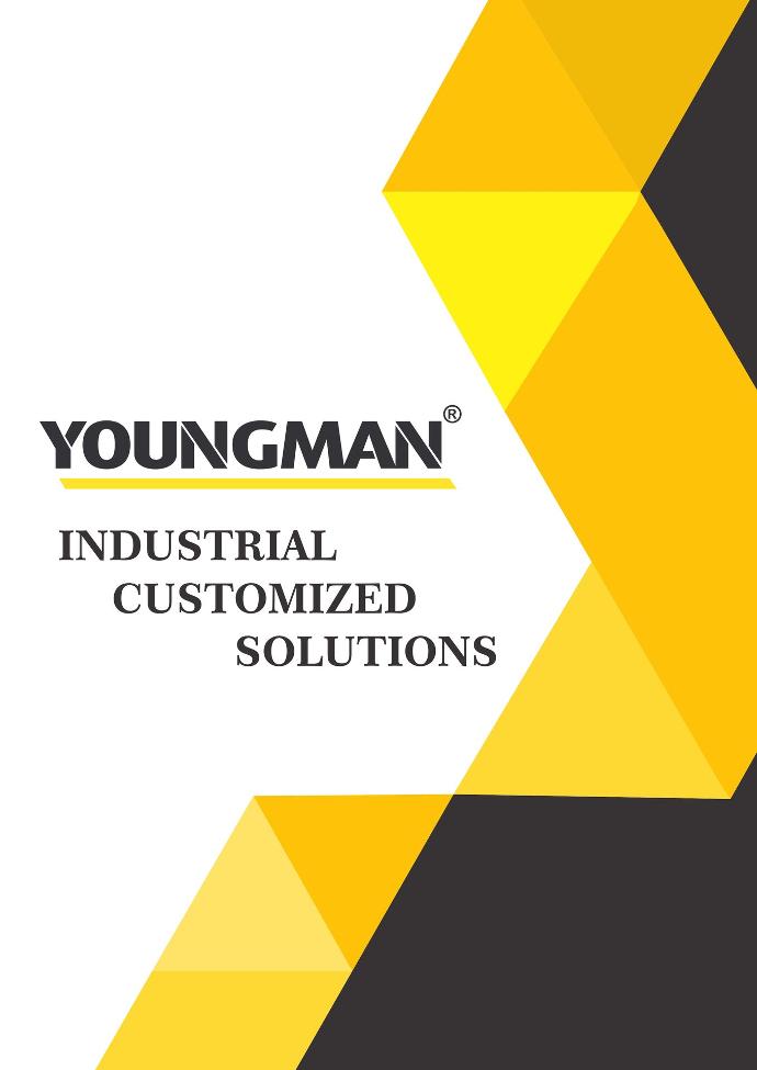 Youngman Industrial customized solutions